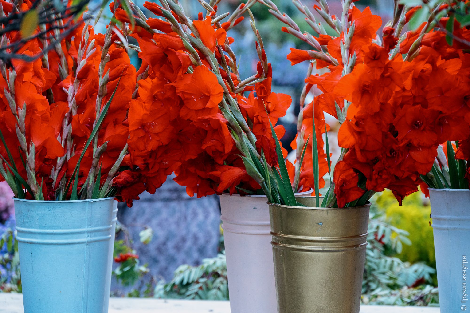 Tbilisoba 2022: The Harvest Festival